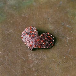 Accessories Valet Sofia Clip In Pink